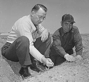 Field Dir. Cozzens, Tule Lake, 1943