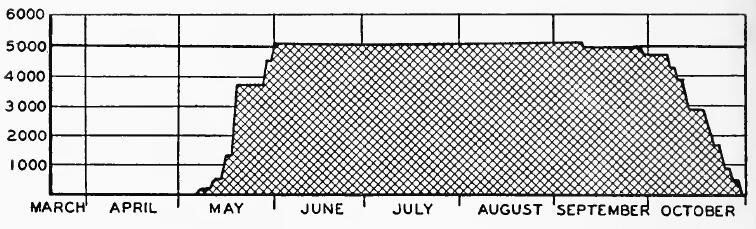 Evacuee Population of Fresno Assembly Center