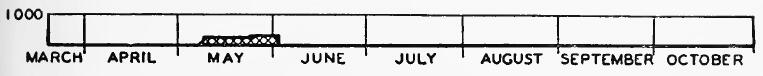 Evacuee Population of Mayer Assembly Center