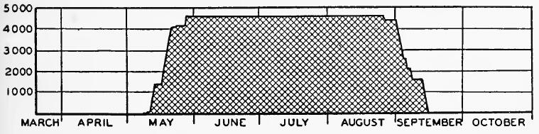 Evacuee Population of Merced Assembly Center