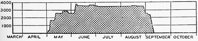 Evacuee Population of Portland Assembly Center