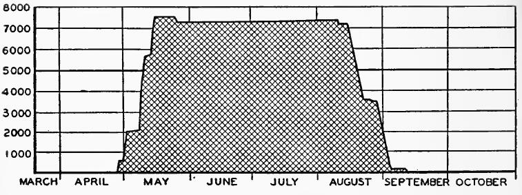 Evacuee Population of Puyallup Assembly Center