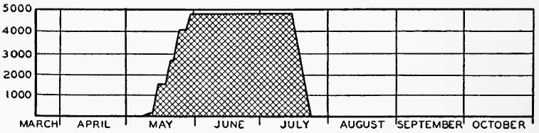 Evacuee Population of Pinedale Assembly Center