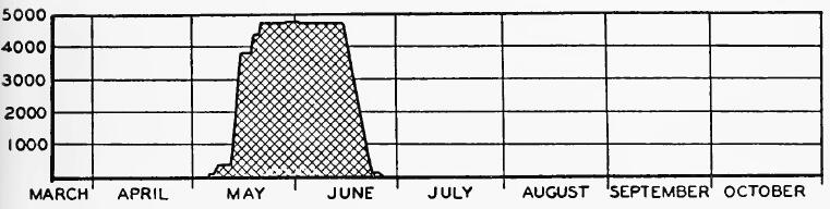 Evacuee Population of Sacramento Assembly Center