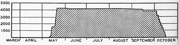 Evacuee Population of Stockton Assembly Center