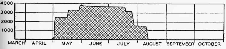 Evacuee Population of Turlock Assembly Center