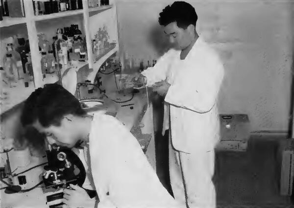 Two evacuee laboratory technicians at work at Santa Anita (California) Assembly Center