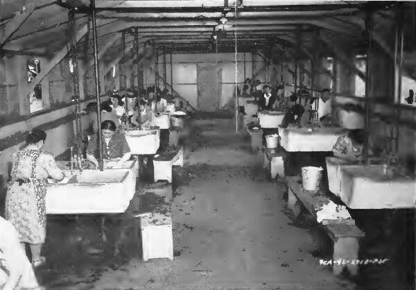 Laundry room at Portland (Oregon) Assembly Center