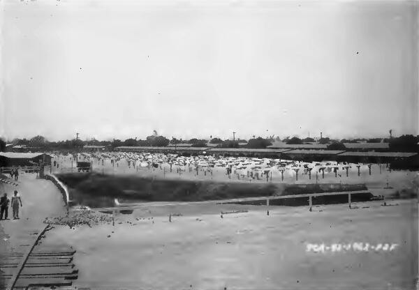 One of several laundry drying yards at Santa Anita (California) Assembly Center