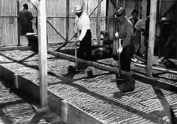 Evacuees preparing a seed bed in the experimental station for the growing of the rubber producing guayule shrub, at Manzanar (California) Reception Center