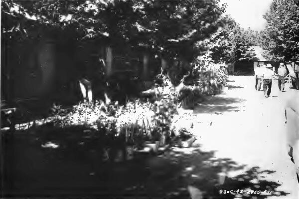 A street scene in Turlock (California) Assembly Center with flowering plants massed in front of the barracks