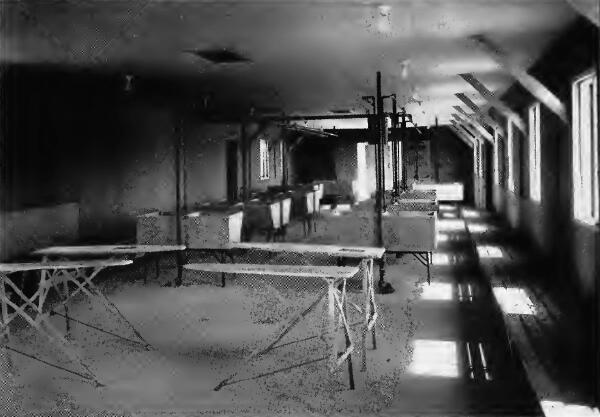 Airy and spotless is this section of a Relocation Center laundry with modern plumbing and tanks, ironing boards and side-wall bench for bundles