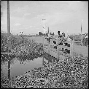 Fishing, Tule Lake, 1942