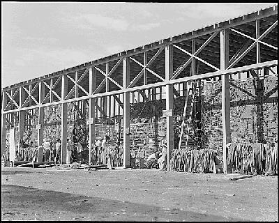 Manzanar camouflage net project 1942