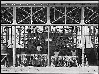 1942 - Manzanar Relocation Center. Making camouflage nets