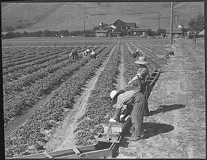 Mission San Jose, 1942