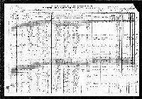 1910 US Census